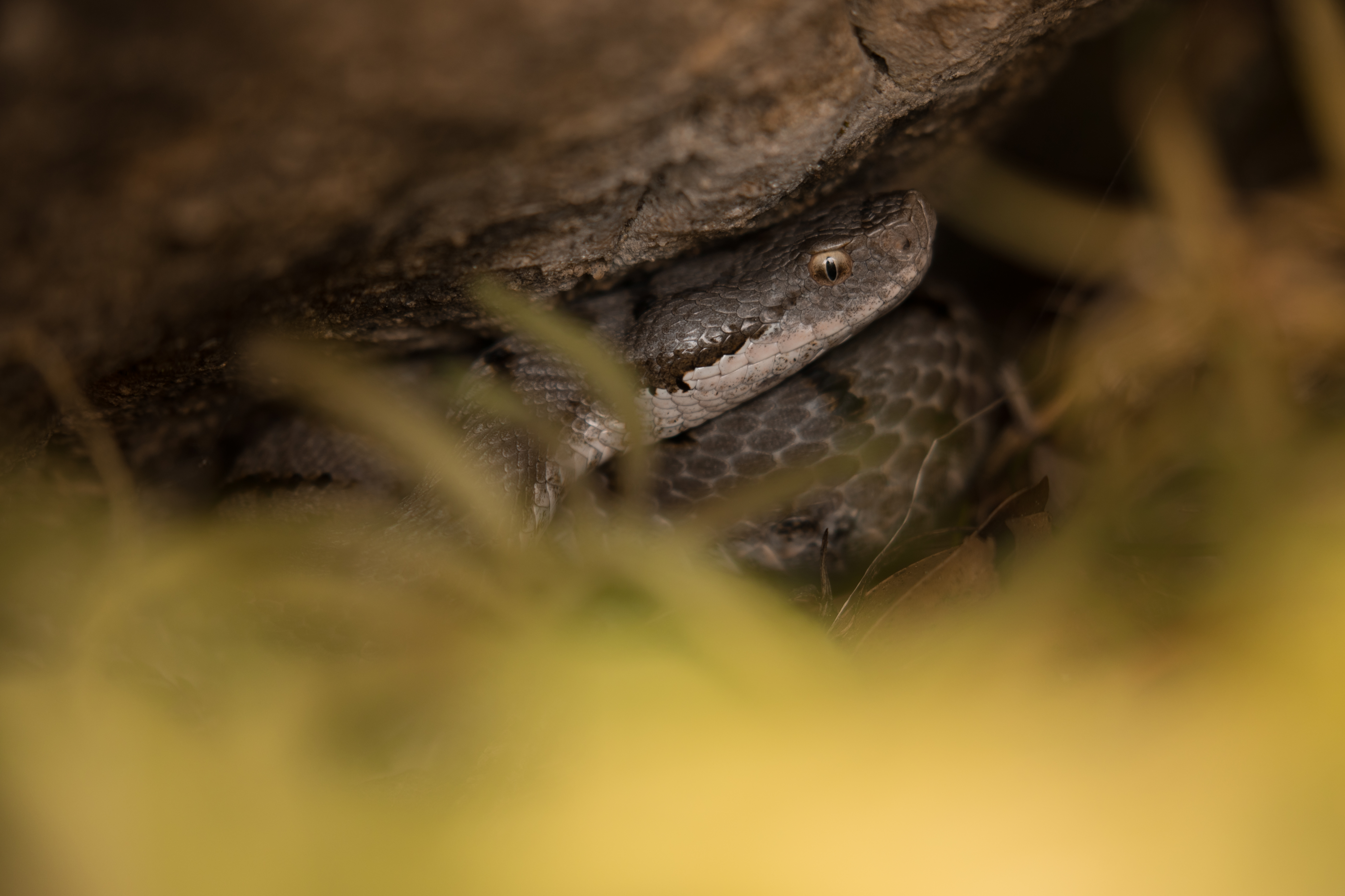 Aventure - Instagram